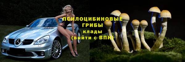 ешки Новодвинск