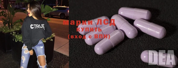 прущие грибы Няндома