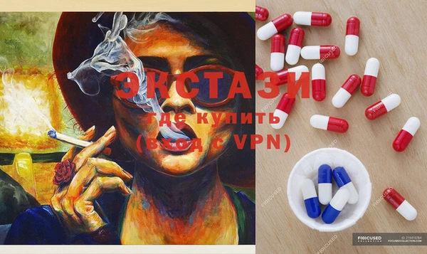 ешки Новодвинск