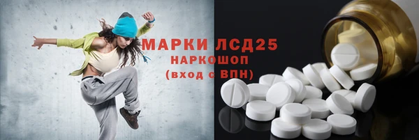 ешки Новодвинск