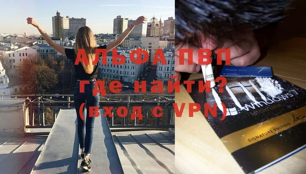 дмт Новозыбков