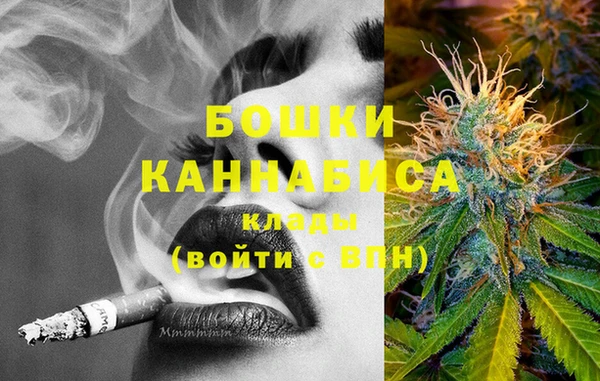 дмт Новозыбков