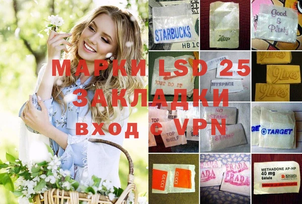 ешки Новодвинск