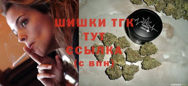 ешки Новодвинск