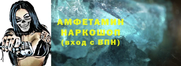 прущие грибы Няндома