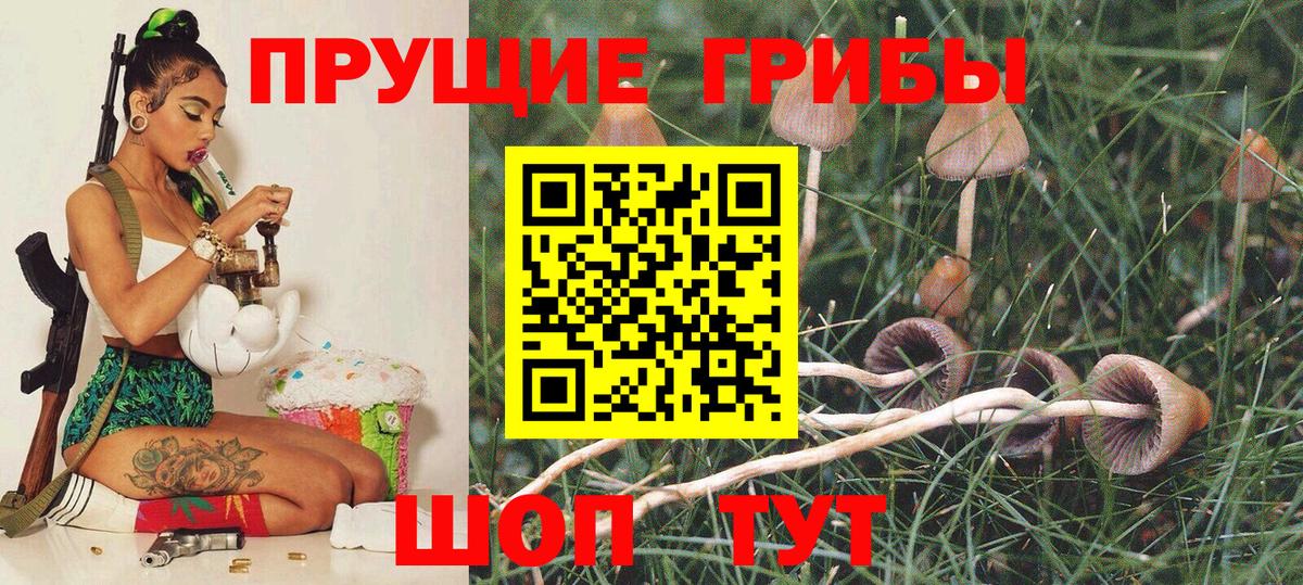 Галлюциногенные грибы Psilocybine cubensis  Вход с VPN  Тавда 